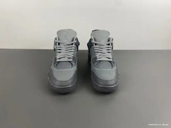 Cheap Air Paris 4 Jordan SE Olympics 0511